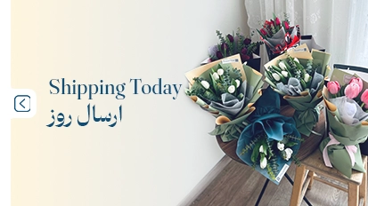 ارسال روزانه